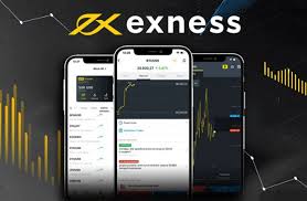 The Essential Guide to the Live Exness Platform