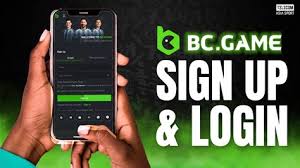 Unleashing Potential with BC App Your Comprehensive Guide